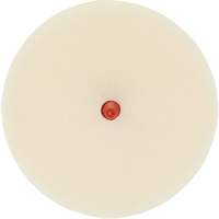 Scotch-Brite Moulding Adhesive & Stripe Removal Disc, 7501, 4" Dia. Superchem Industries