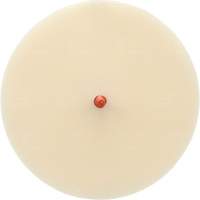 Scotch-Brite Moulding Adhesive and Stripe Removal Disc 7502, 6" Dia. Superchem Industries