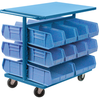 Chariot &agrave; bacs avec bacs, &agrave; deux c&ocirc;t&eacute;s, 20 bacs, 24" la x 38-1/2" p x 36-1/2" h Superchem Industries
