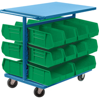 Chariot &agrave; bacs avec bacs, &agrave; deux c&ocirc;t&eacute;s, 20 bacs, 24" la x 38-1/2" p x 36-1/2" h Superchem Industries