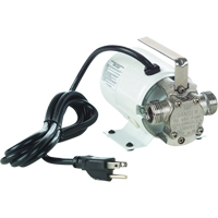 Non-Submersible, Self-Priming Plated Brass Transfer Pumps - Pump Only, 115 V, 360 GPH, 1/10 HP Superchem Industries