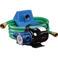 Non-Submersible, Self-Priming Plated Brass Transfer Pumps, 115 V, 360 GPH, 1/10 HP Superchem Industries