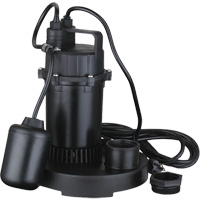 Thermoplastic Submersible Sump Pump, 2560 GPH, 115 V, 4.6 A, 1/3 HP Superchem Industries