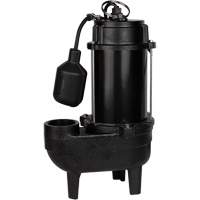 Pompe d'&eacute;gout en fonte, 120 V, 9,5 A, 6000 gal./h, 1/2 CV Superchem Industries