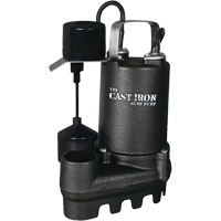 Cast Iron Submersible Sump Pump with Vertical Float Switch, 67 GPM, 33 V, 5 A, 1/3 HP Superchem Industries
