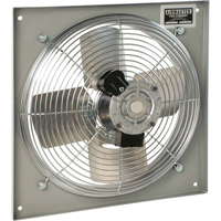 Ventilateurs muraux d'usage g&eacute;n&eacute;ral, Commercial, Dia 10", 2 vitesses Superchem Industries