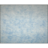 High-Arrestance Synthetic Media Filters, Pad, MERV 5, 24" W x 2" D x 12" H Superchem Industries