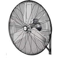 Ventilateur mural non oscillant, Industriel, Dia 30", 2 vitesses Superchem Industries