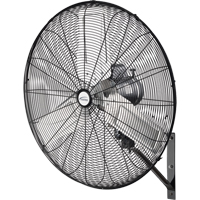Ventilateur mural oscillant, Industriel, Dia 30", 2 vitesses Superchem Industries