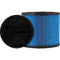 Filtre pour aspirateur Ultra-Web, Cartouche, Pour 5 gal. US Superchem Industries