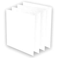 Pr&eacute;-filtres AeraMax Pro AM3 ou AM4, 13,75" la x 0,13" p x 14,38" h Superchem Industries