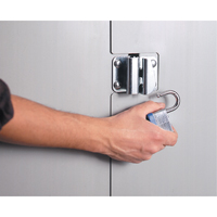 Deep Door Storage Cabinet, 38" W x 24" D x 72" H, 4 Shelves Superchem Industries