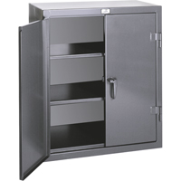Armoires de rangement hauteur comptoir, Acier, 2 Tablettes, 36" h x 24" la x 20" P, Gris Superchem Industries