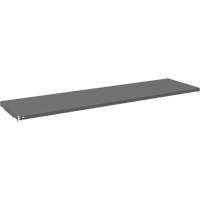 Cabinet Shelf, 59-3/4" x 16-3/8", 500 lbs. Capacity, Grey Superchem Industries