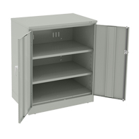 Deluxe Counter High Cabinet, Steel, 2 Shelves, 42" H x 36" W x 24" D, Light Grey Superchem Industries