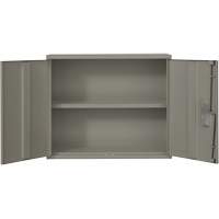 Wall Mounted Cabinet, Steel, 2 Shelves, 30" H x 36" W x 12" D, Grey Superchem Industries