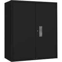 Lo-Boy Storage Cabinet, Steel, 2 Shelves, 42" H x 36" W x 18" D, Black Superchem Industries