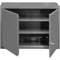 Wall-Mounted Cabinet, 27" H x 29-7/8" W x 13-11/16" D, 2 Shelves, Steel, Grey Superchem Industries