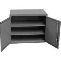 Wall-Mounted Cabinet, 27" H x 13-11/16" W x 35-7/8" D, 2 Shelves, Steel, Grey Superchem Industries
