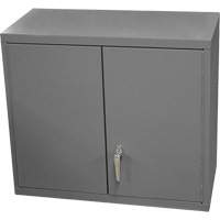 Wall-Mounted Cabinet, 27" H x 13-11/16" W x 35-7/8" D, 2 Shelves, Steel, Grey Superchem Industries