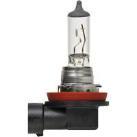 H8 Basic Headlight Bulb, Halogen, 35 W, Off White Superchem Industries