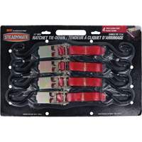 Tendeurs d'arrimage &agrave; cliquet, Crochet en S, 1" , 12' , Charge d'utilisation max. 500 lb (230 kg) Superchem Industries