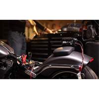 Chargeur de batterie 10 A Genius 10 Superchem Industries