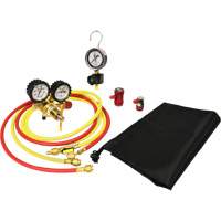 Automotive A/C Nitrogen Leak Test Kit with Regulator Superchem Industries
