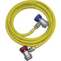 R134a A/C System Flush Hose Assembly Superchem Industries