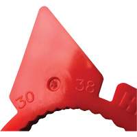 Indicateur d'&eacute;crous de tailles multiples desserr&eacute;s HexChex Superchem Industries