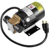 Drain pour camion &agrave; profil bas avec pompe &eacute;lectrique Superchem Industries