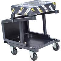 2-in-1 Seat-Stool Combo Superchem Industries