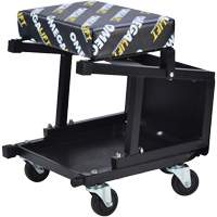 2-in-1 Seat-Stool Combo Superchem Industries