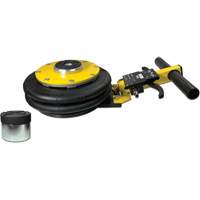 V&eacute;rin &agrave; coussin gonflable biphas&eacute; s&eacute;rie Pro, 2 tonne(s), 17" Hauteur &eacute;lev&eacute;e Superchem Industries