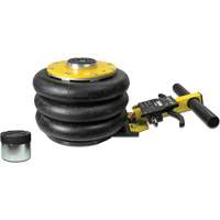 V&eacute;rin &agrave; coussin gonflable triphas&eacute; s&eacute;rie Pro, 2 tonne(s), 22" Hauteur &eacute;lev&eacute;e Superchem Industries
