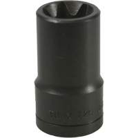 E-20 Torx&reg; Socket Superchem Industries