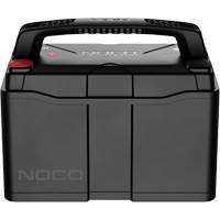Group 31 120Ah Lithium-Ion LiFePO4 Dual-Purpose Battery Superchem Industries