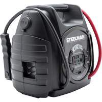 Batterie de secours lithium-ion 600 A avec c&acirc;ble de sauvegarde de m&eacute;moire Superchem Industries
