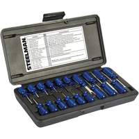 Ensemble maître de 19 outils dextraction de bornes Superchem Industries