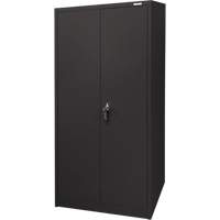 Armoire d'entreposage, Acier, 4 Tablettes, 66" h x 30" la x 15" P, Noir Superchem Industries
