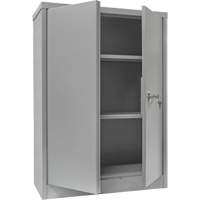 Counter-High Storage Cabinet, Steel, 2 Shelves, 42" H x 48" W x 24" D, Grey Superchem Industries