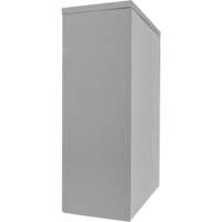 Counter-High Storage Cabinet, Steel, 2 Shelves, 42" H x 48" W x 24" D, Grey Superchem Industries