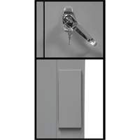 Counter-High Storage Cabinet, Steel, 2 Shelves, 42" H x 48" W x 24" D, Grey Superchem Industries