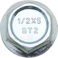 Wedge Bolts, Carbon Steel, 1/2" x 2" Superchem Industries