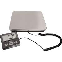 Digital Receiving Scale, 220 lbs. Cap., 1 lbs. Graduations Superchem Industries