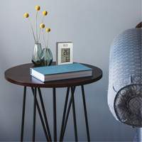 Thermom&egrave;tre sans fil int&eacute;rieur/ext&eacute;rieur, Sans contact, Analogique, 31-158°F (-35-70°C) Superchem Industries