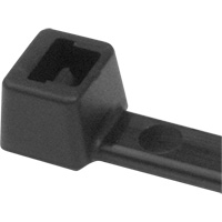 PA66 Cable Ties, 5-1/2" Long, 18 lbs. Tensile Strength, Black Superchem Industries