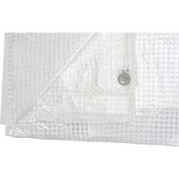 B&acirc;ches transparentes, 12' x 10' x 8 mils Superchem Industries