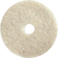 Floor Maintenance Pads, 21", Burnishing, Brown Superchem Industries