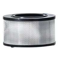 Wet/Dry Vacuum Filter, Hepa, Fits 8 - 11 US gal. Superchem Industries